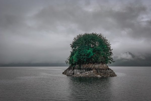 A small, tree-topped island in a lake, with the far shore just visible through mist in the background