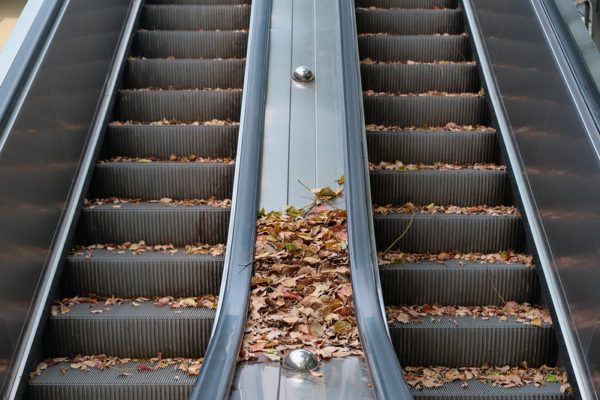 Fallen leaves on an unmoving escalator during Shanghai's lockdown