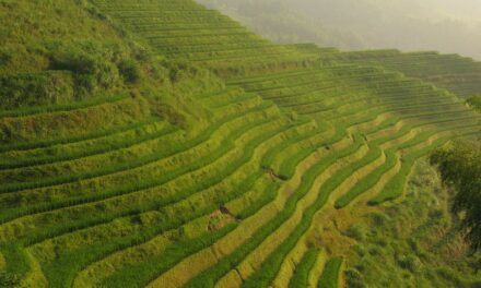 Photo: China, by Martín Justicia