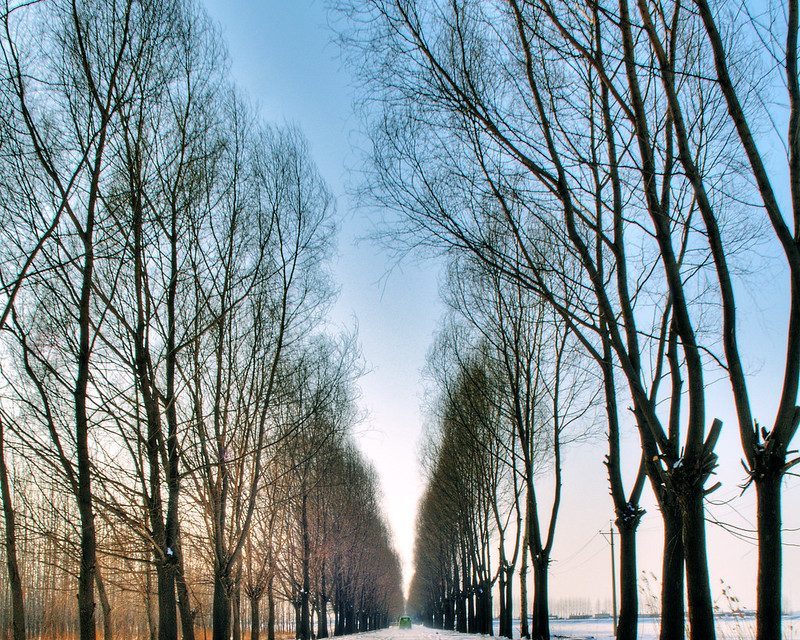Photo: road, by Xuan Zheng