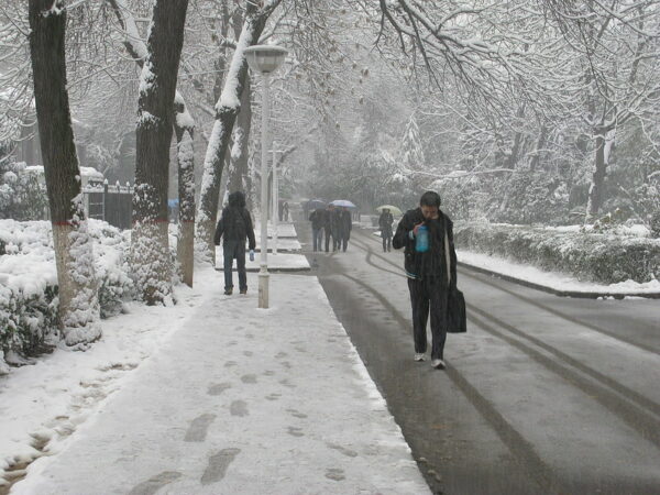 Photo: Snow falling (1), by Caitriana Nicholson