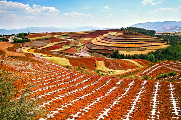 A stunning vista of rolling hills covered with a patchwork of fields in shades of green, pale green, yellow, and brown, as well as the dark reddish soil of harvested fields. Taken in Yunnan Province, China.